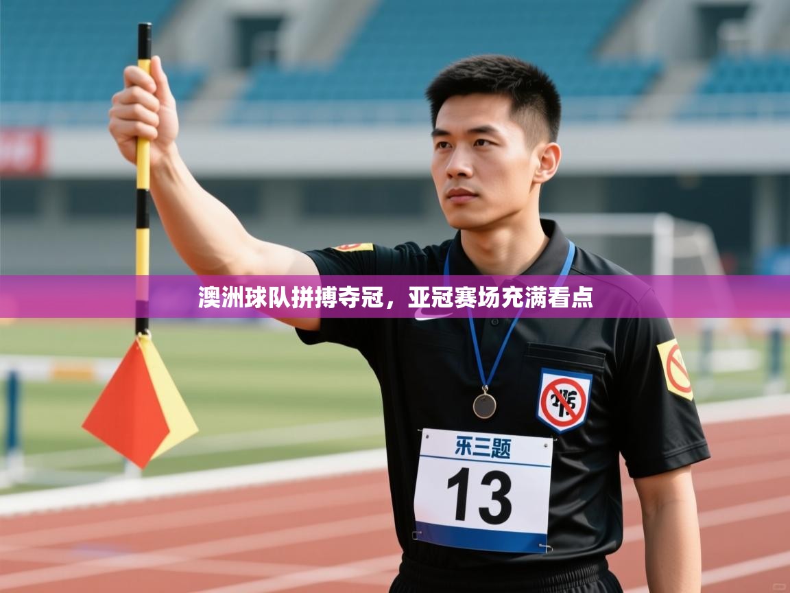 澳洲球队拼搏夺冠，亚冠赛场充满看点  第2张