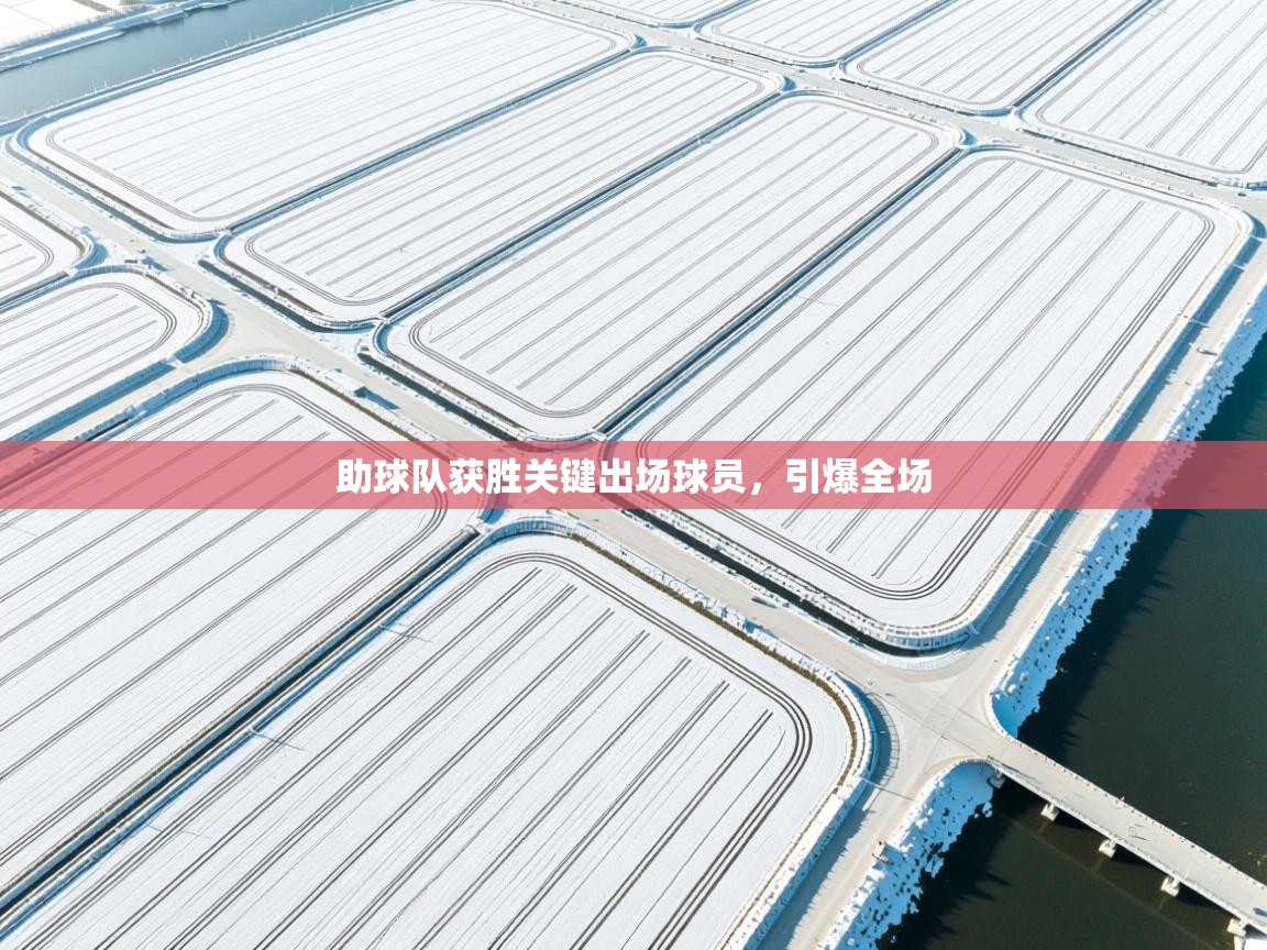 助球队获胜关键出场球员，引爆全场  第1张