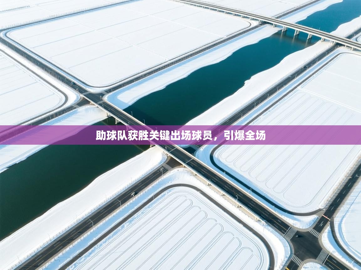 助球队获胜关键出场球员，引爆全场  第2张